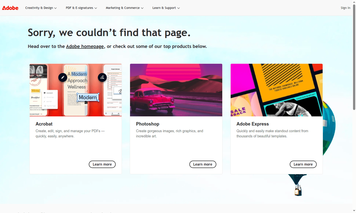 Adobe Connect application interface