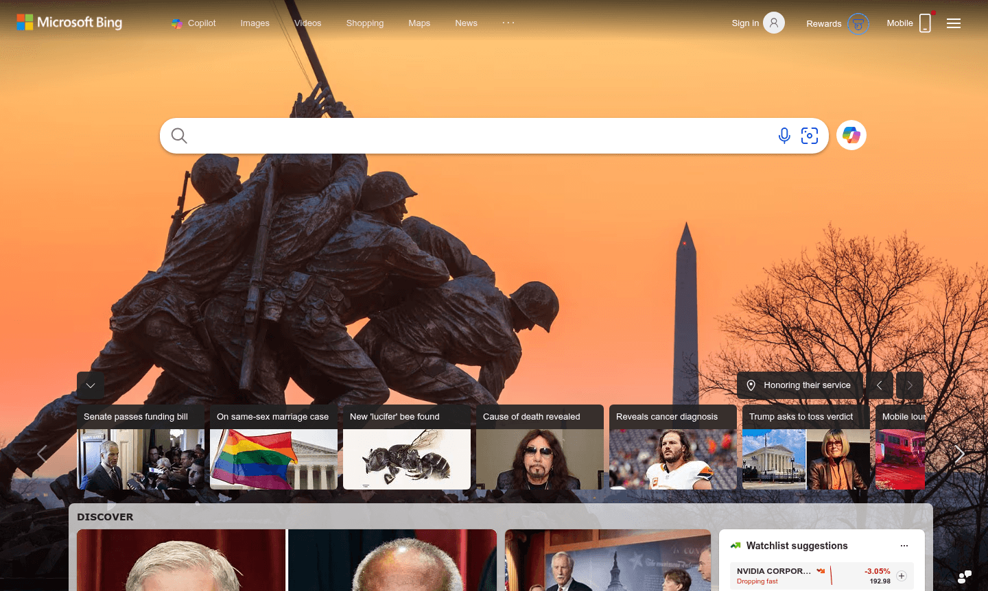 Bing Visual Search thumbnail image