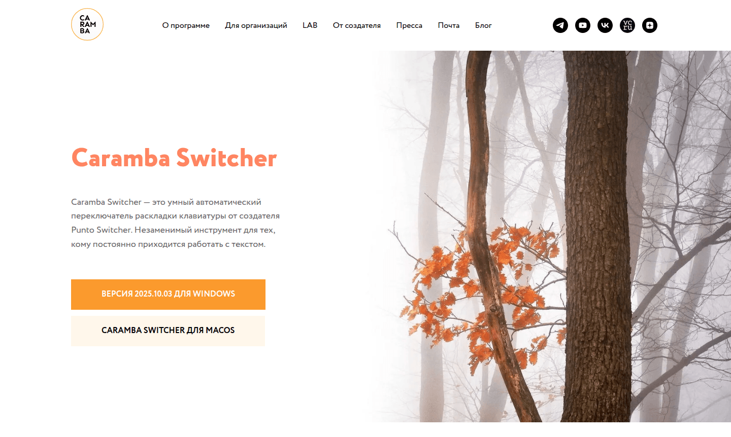 Screenshot of Caramba Switcher interface showing language switching options