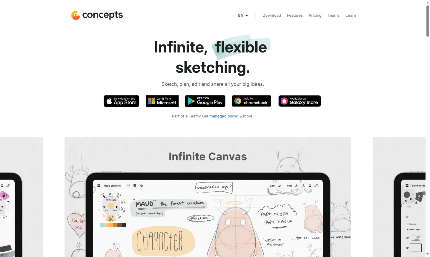 Concepts app thumbnail showing an example of infinite canvas sketching