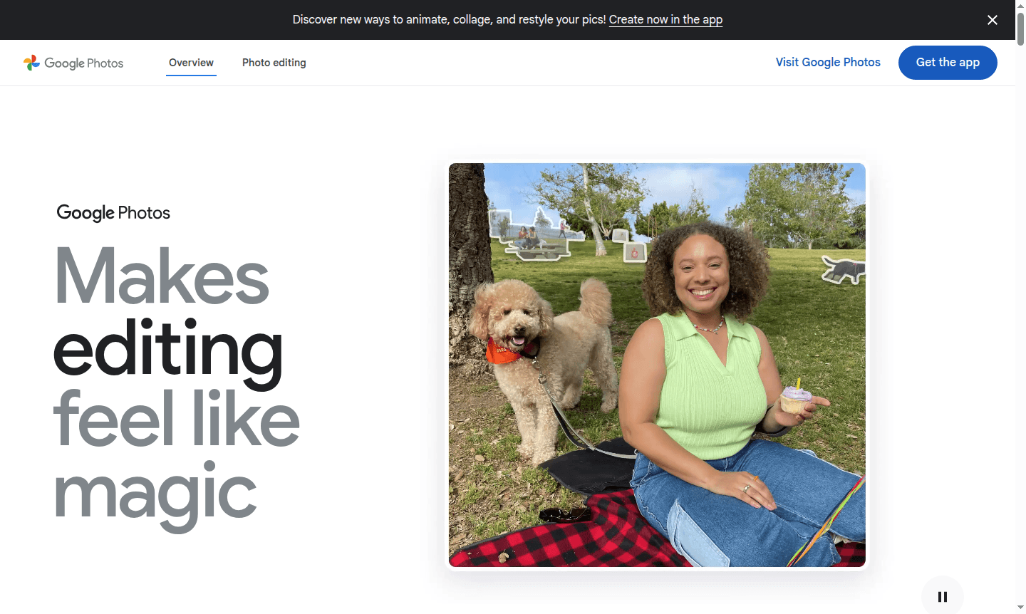 Google Photos application interface