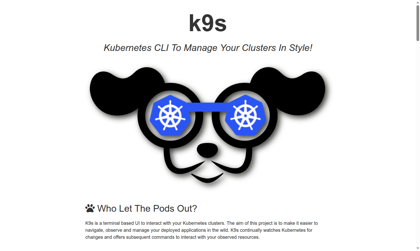 K9s terminal interface