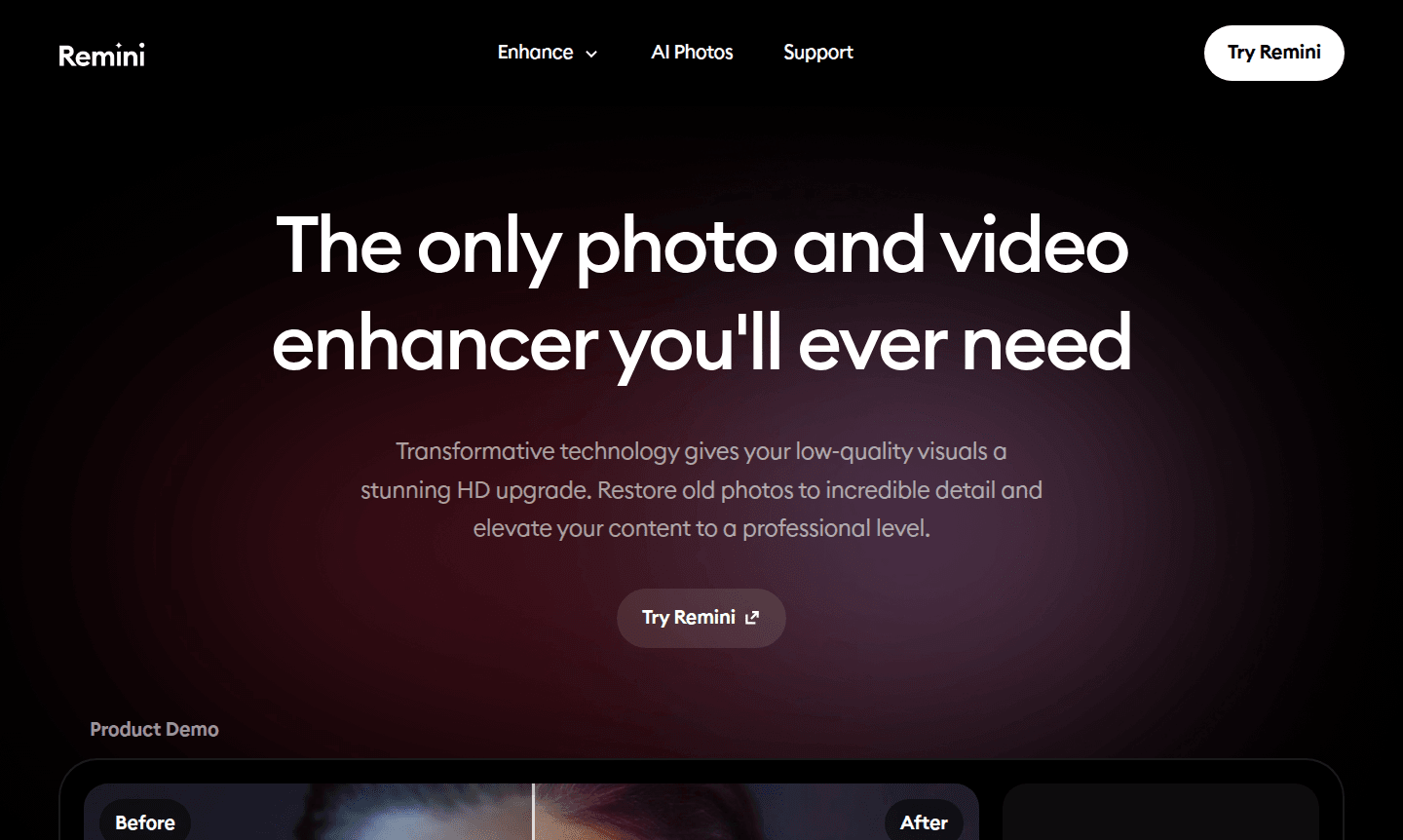 Remini thumbnail image