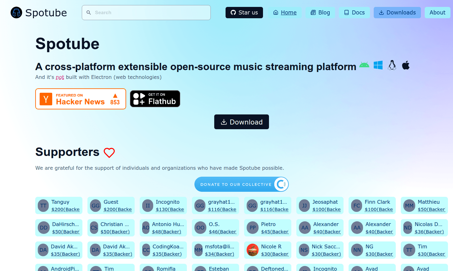 Spotube app interface