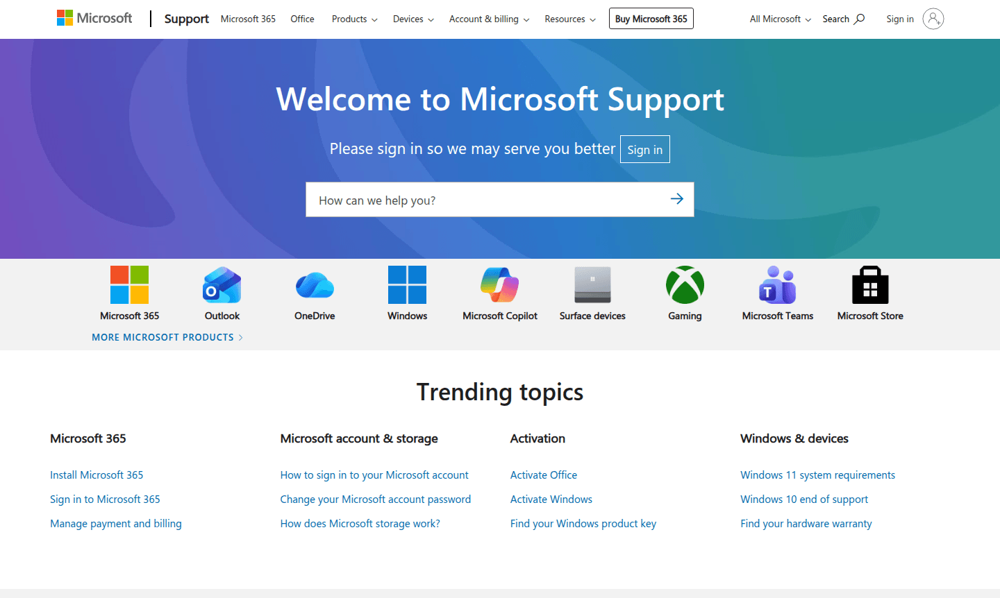 Microsoft 365 Copilot interface