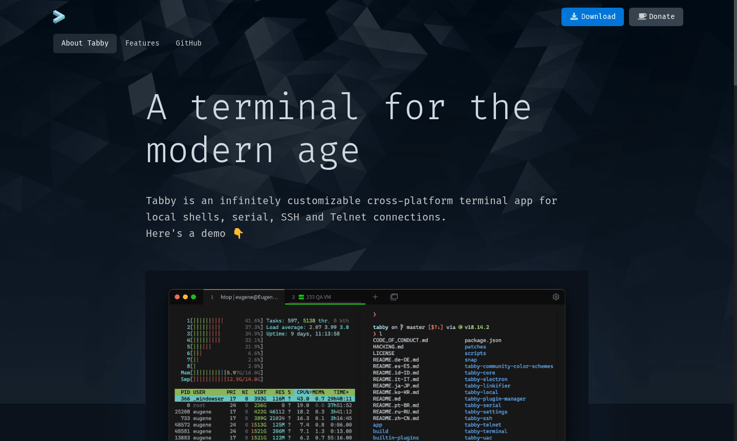 Tabby terminal application interface