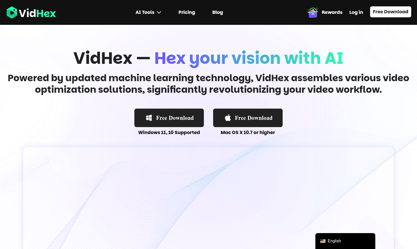 VidHex software interface showing video enhancement options