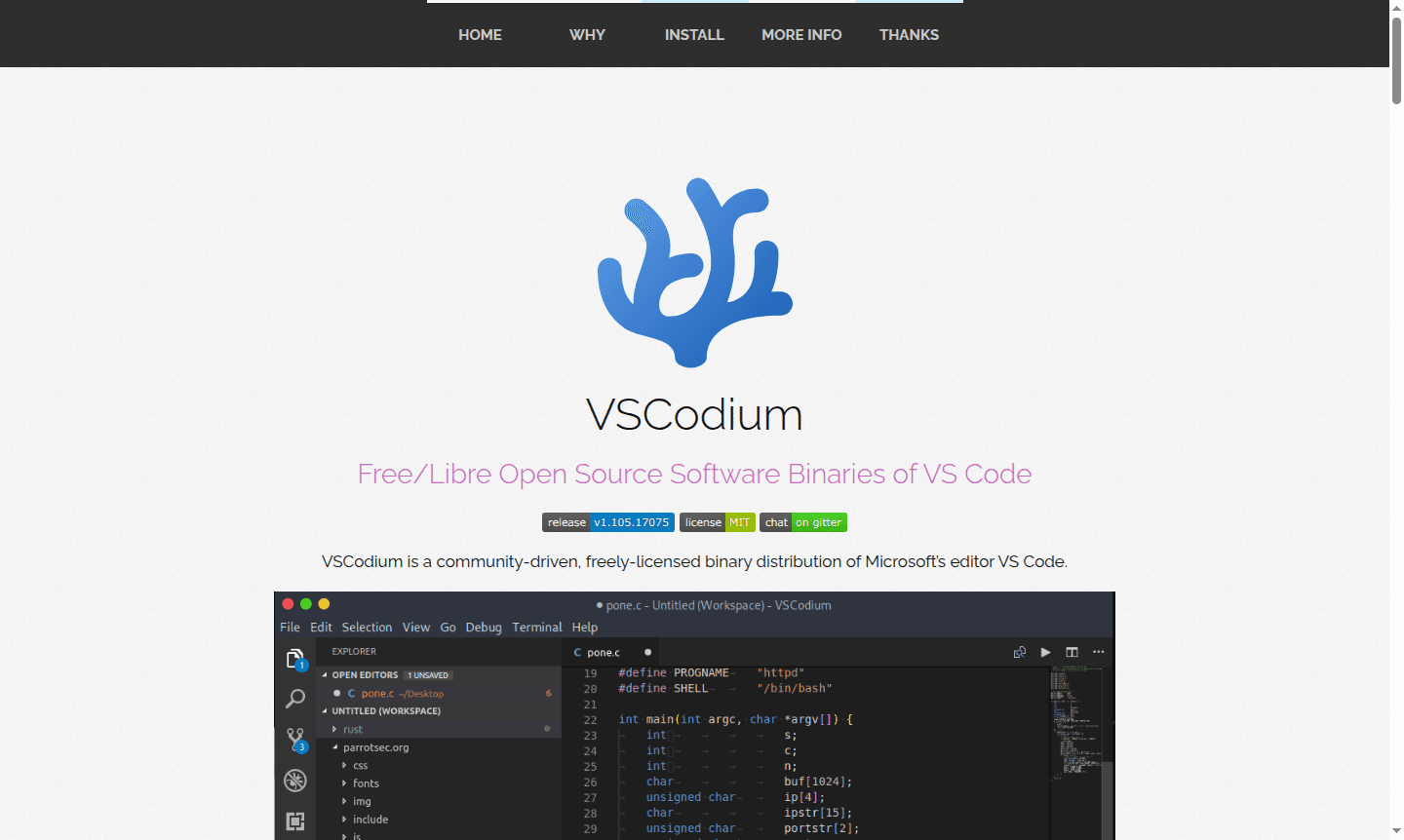 VSCodium application interface