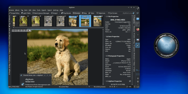 digiKam 8.8 interface showing new hierarchical tag management and blur tool features