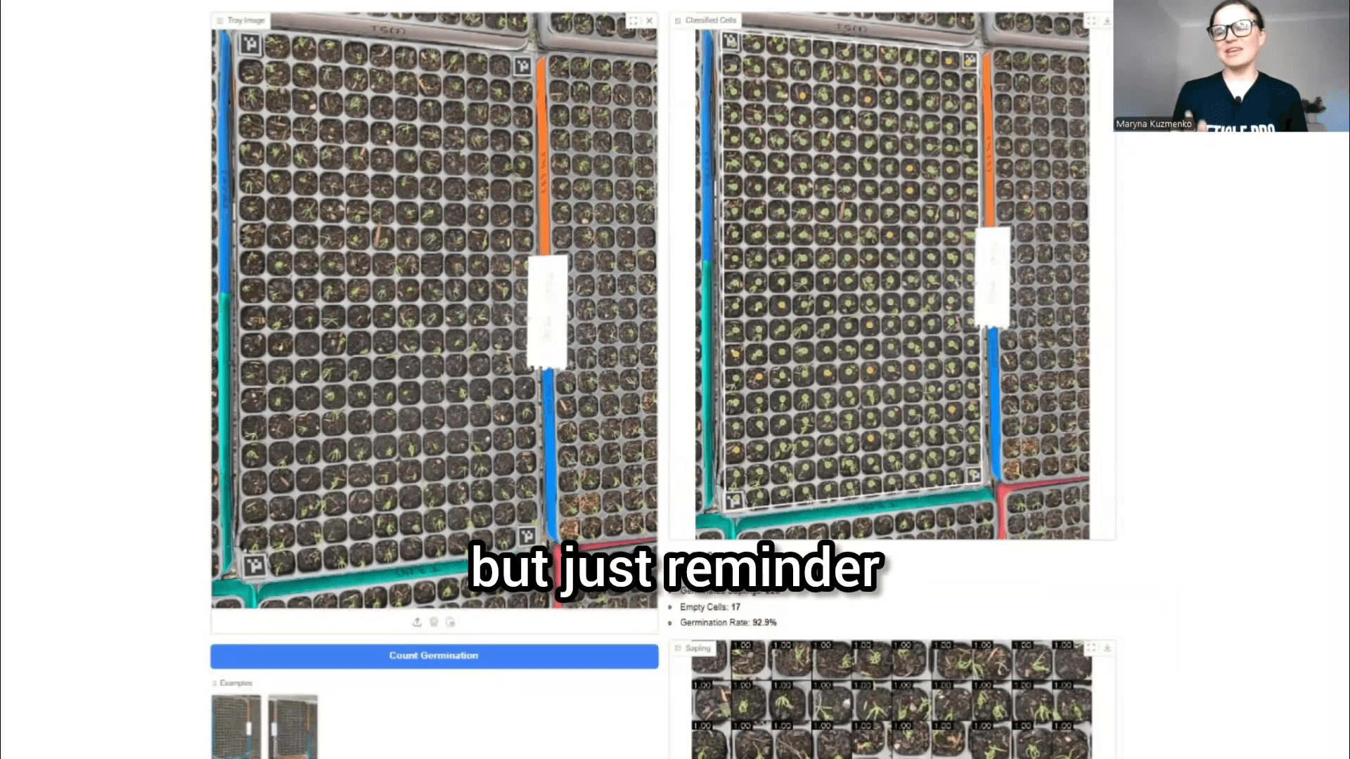 AI system analyzing seedling trays in modern agricultural facility