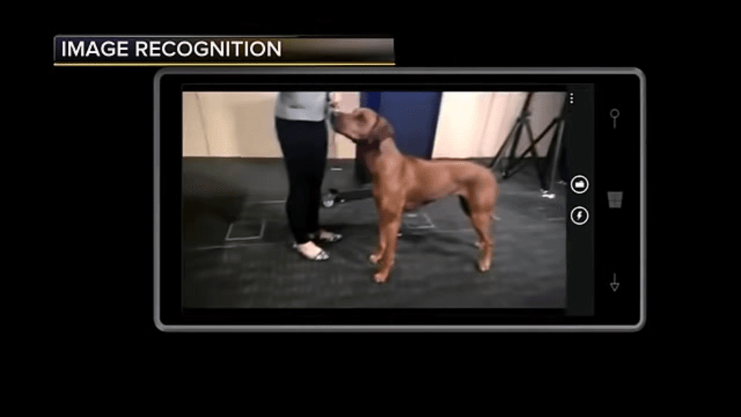 Image recognition technology showing AI analyzing multiple visual inputs including faces, objects, and scenes