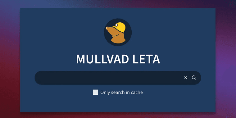 Mullvad Leta privacy search proxy shutdown announcement with calendar showing November 27, 2025